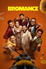 Bromance (2025) Full HD Dual Audio [Hindi ORG & Telugu] 720p | GDrive