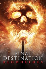 Final Destination: Bloodlines (2025) [Hindi Dubbed] 720p | GDrive
