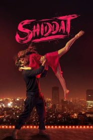 Shiddat (2021) [Hindi] 720p | GDrive