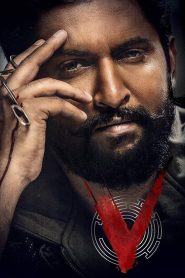 V (2020) [Hindi] WEB-DL 720p | GDRive