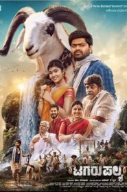Tagaru Palya (2023) Dual Audio [Hindi ORG & Kannada] WEB-DL 720p | GDRive