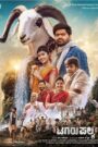 Tagaru Palya (2023) Dual Audio [Hindi ORG & Kannada] WEB-DL 720p | GDRive
