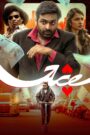 Ace (2025) [Hindi ORG] WEB-DL 720p | GDRive