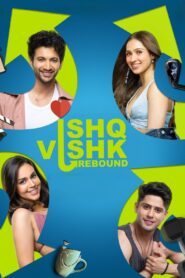 Ishq Vishk Rebound (2024) Full HD [Hindi] WEB-DL 720p | GDRive