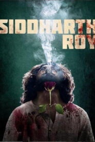 Siddharth Roy (2024) Full HD [Hindi HQ] WEB-DL 720p | GDRive