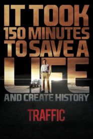 Traffic (2016) [Hindi] WEB-DL 720p | GDRive