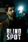 Blind Spot (2025) Multi Audio [Hindi ORG & Others] WEB-DL 720p | GDRive