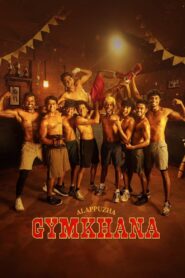 Alappuzha Gymkhana (2025) Multi Audio [Hindi ORG.Tel & Kann] WEB-DL 720p | GDRive