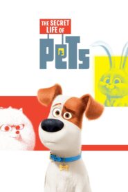 The Secret Life of Pets (2016) Dual Audio [Hindi ORG & ENG] WEB-DL 720p | GDRive