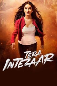 Tera Intezaar (2017) [Hindi] WEB-DL 720p | GDRive