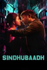 Sindhubaadh (2019) Dual Audio [Hindi & Others] WEB-DL 720p | GDRive