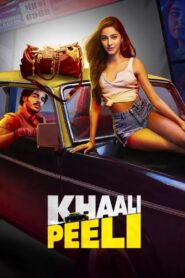 Khaali Peeli (2020) [Hindi] WEB-DL 720p | GDRive