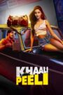 Khaali Peeli (2020) [Hindi] WEB-DL 720p | GDRive