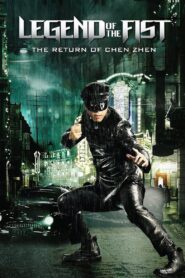 Legend of the Fist: The Return of Chen Zhen (2010) [Hindi Dubbed] WEB-DL 720p | GDRive