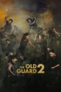 The Old Guard 2 (2025) Dual Audio [Hindi ORG & ENG] WEB-DL 720p | GDRive